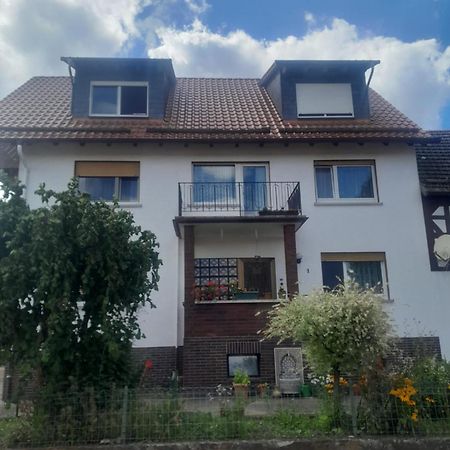 Zinimiri Apartment Freiensteinau Exterior photo
